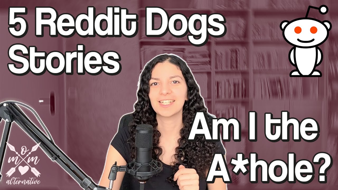 Is it the dog's or their owner's fault? | 5 Reddit Stories | AITA