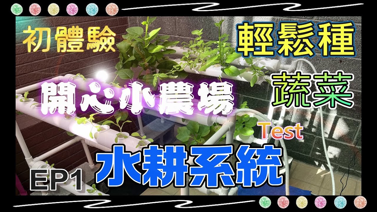 輕鬆玩水耕 EP1 開箱 #水耕系統 開心農場 室內種菜 天台種菜 水耕種植 水耕培植 水培系统 無土栽培 水耕蔬菜 培育實錄 水耕體驗 新手 #青梗白菜 #茼蒿 家用水耕農場 種菜體驗 水耕菜