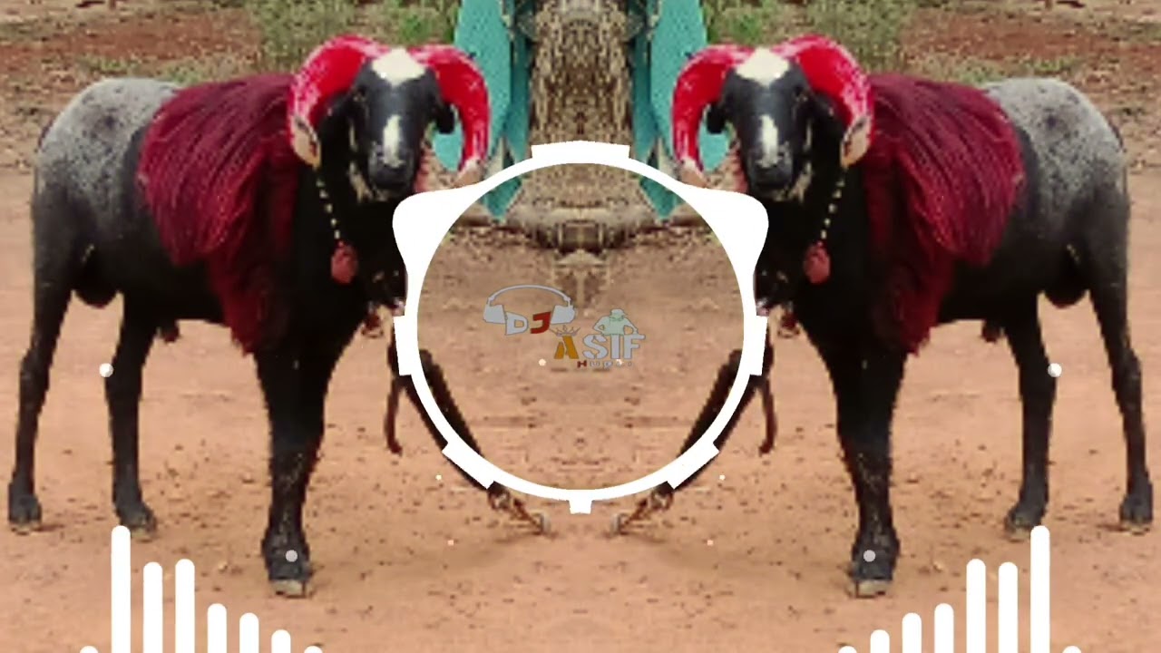 BALLA ZAIN UZAIR GROUP HANGAL MIX DJ ASIF HUBLI 
