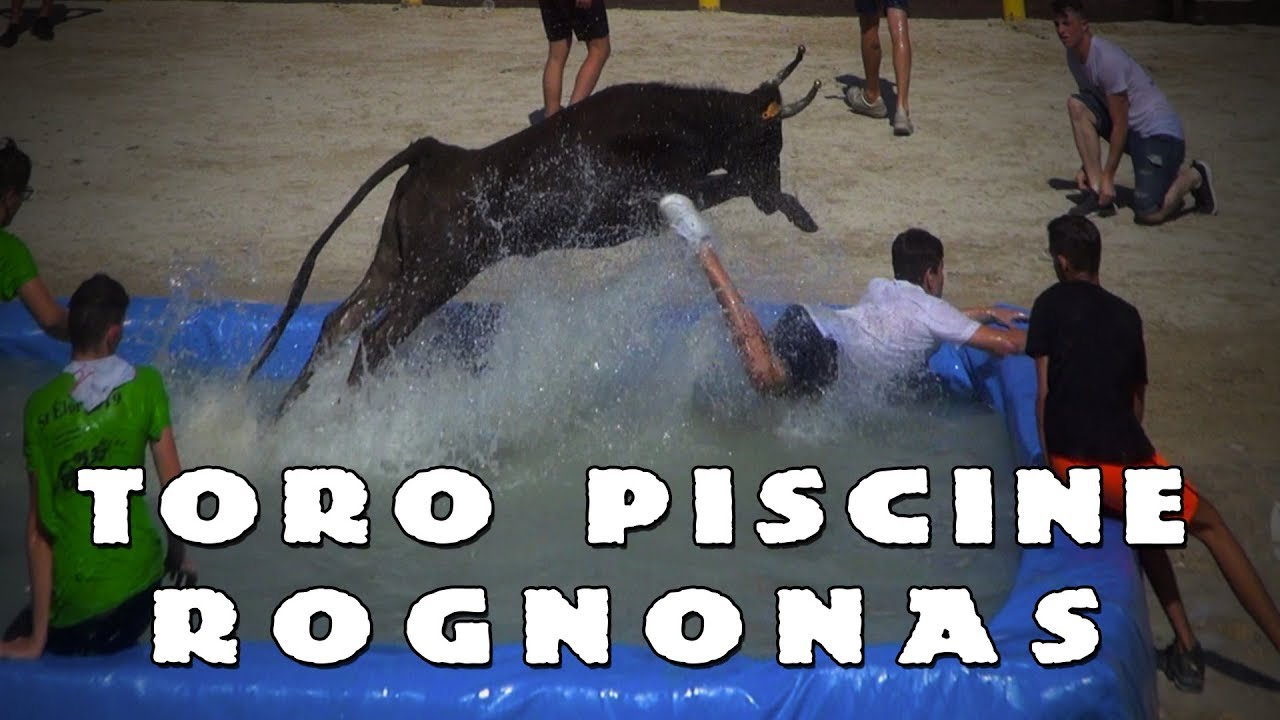 ROGNONAS Toro Piscine 16-07-2019 💦