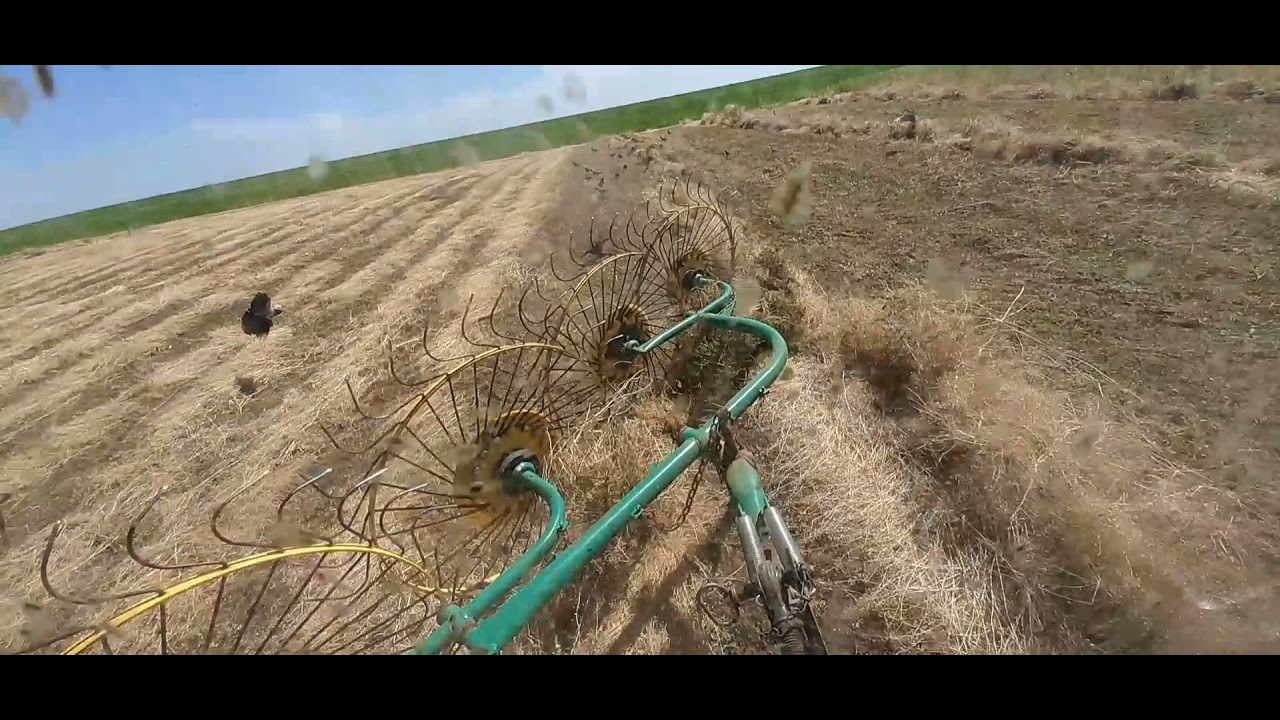 la strâns cu  grebla poloneza si tracror de 25 cp