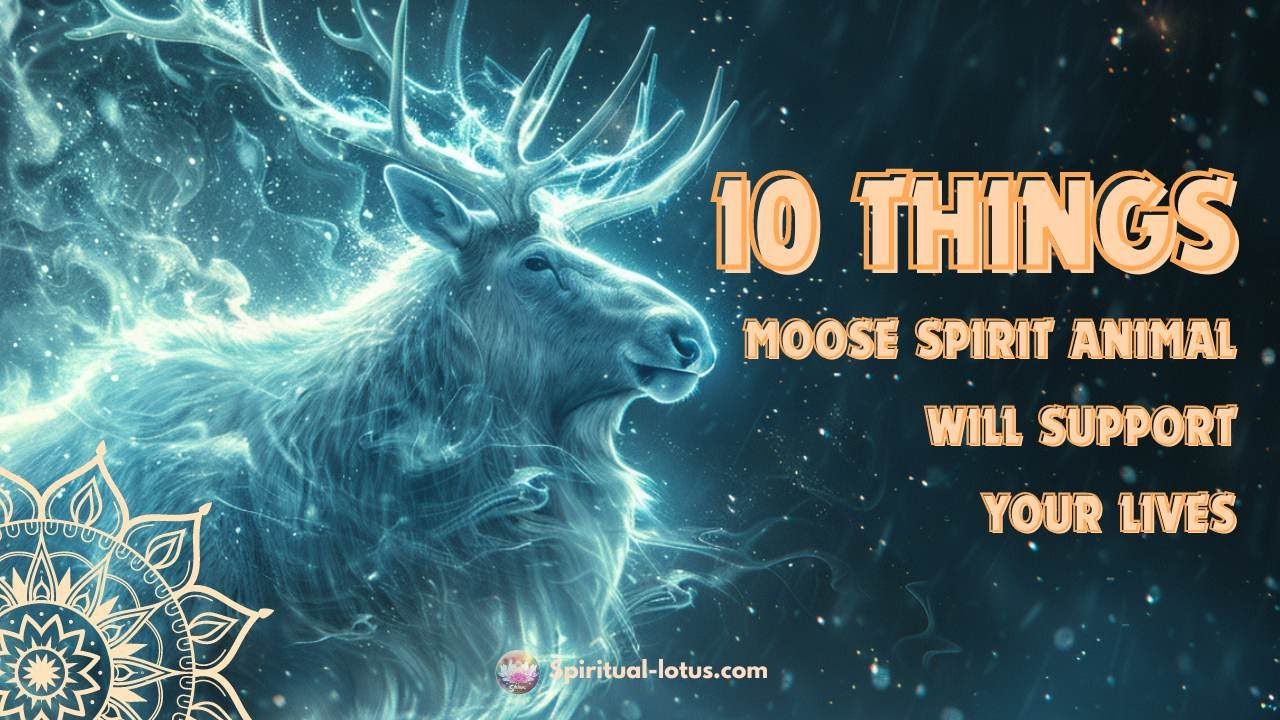 #10 Things that Moose Spirit Animal Will Support Your Lives