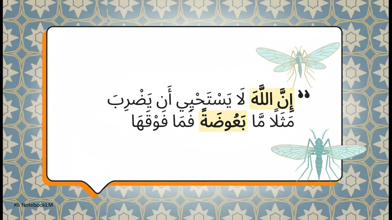 افلا يتدبرون   سوره البقره  الحلقه الثالثه