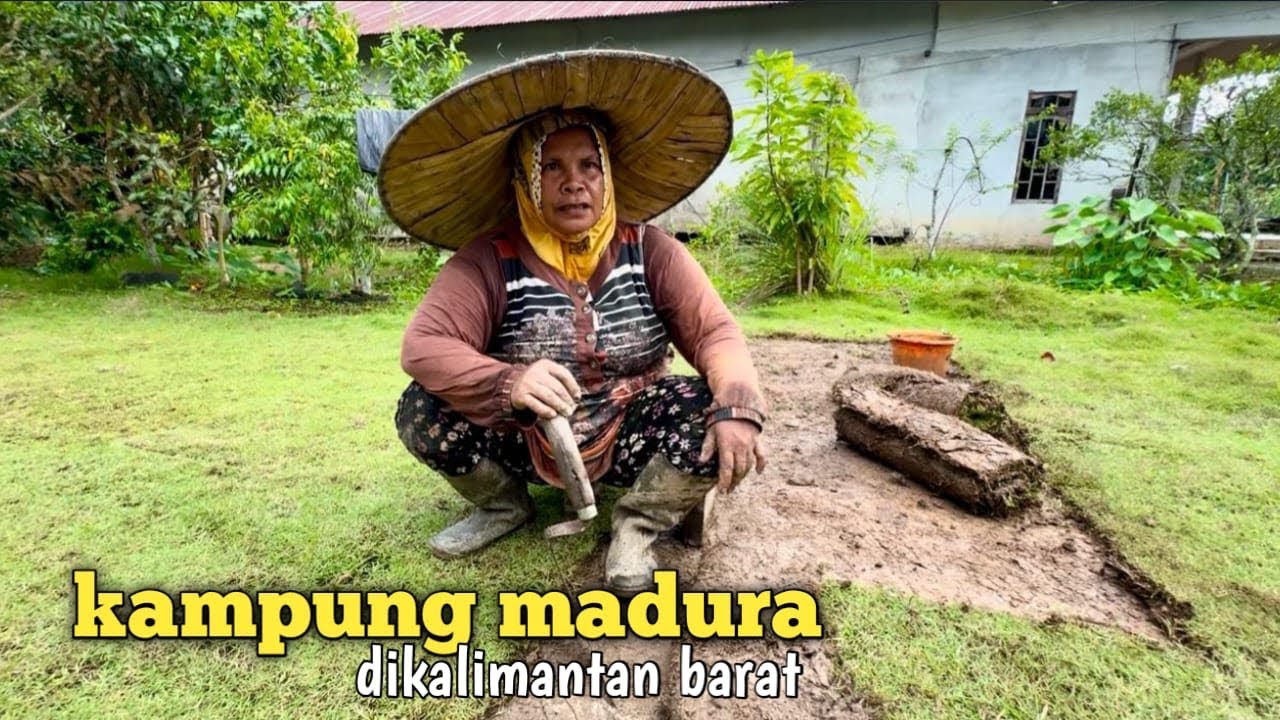 Di tangan warga madura rumput halaman jadi pundi2 kekayaan