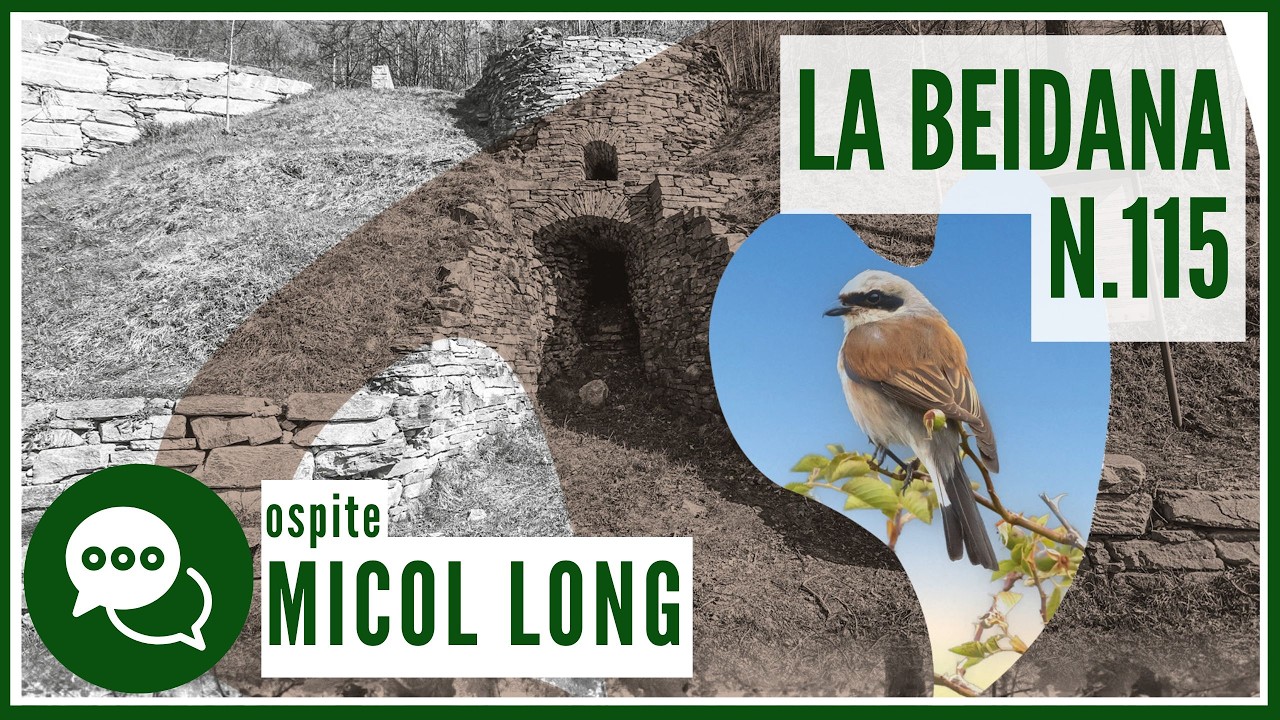 La Beidana 115: storia, animali e geologia