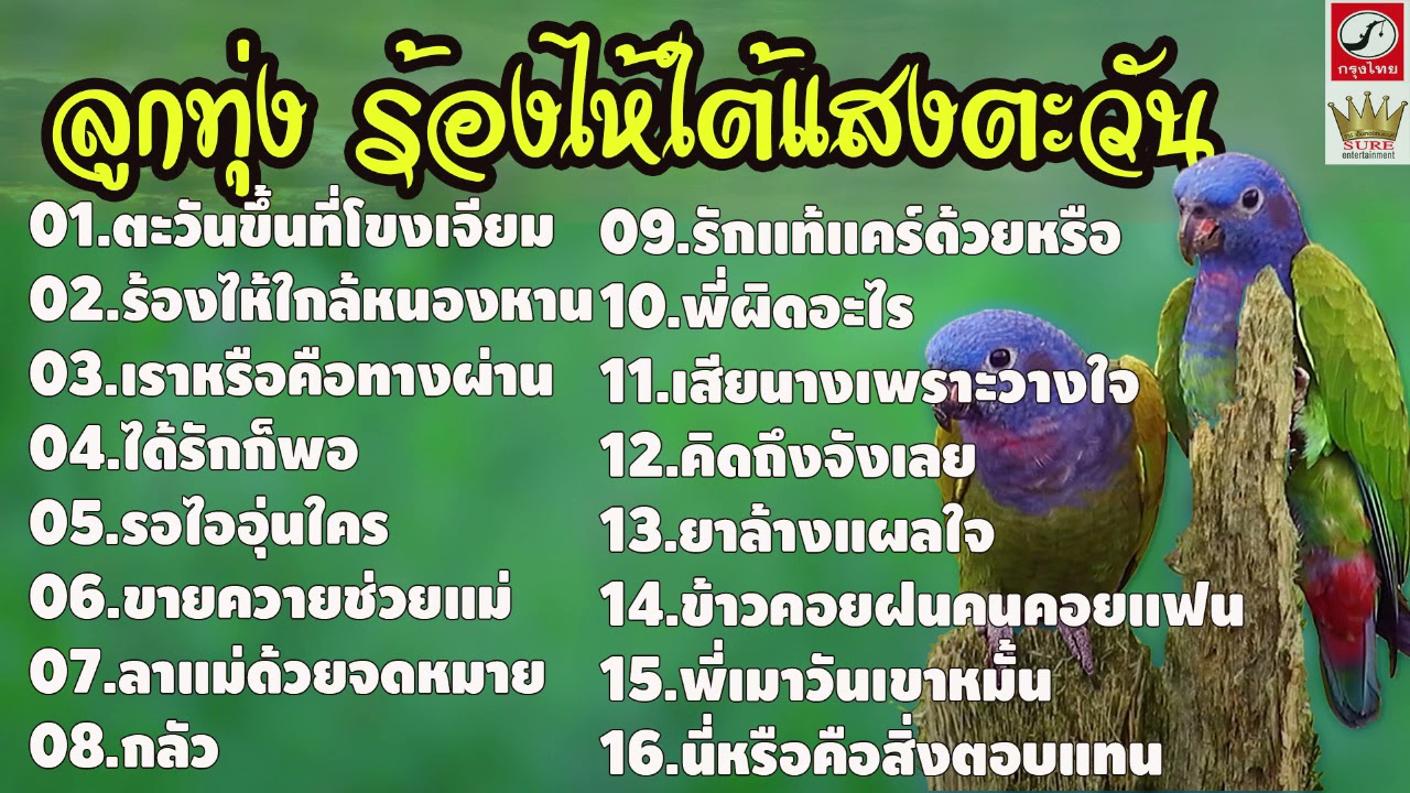 ลูกทุ่ง..ร้องไห้ใต้แสงตะวัน❤◕‿◕❤
