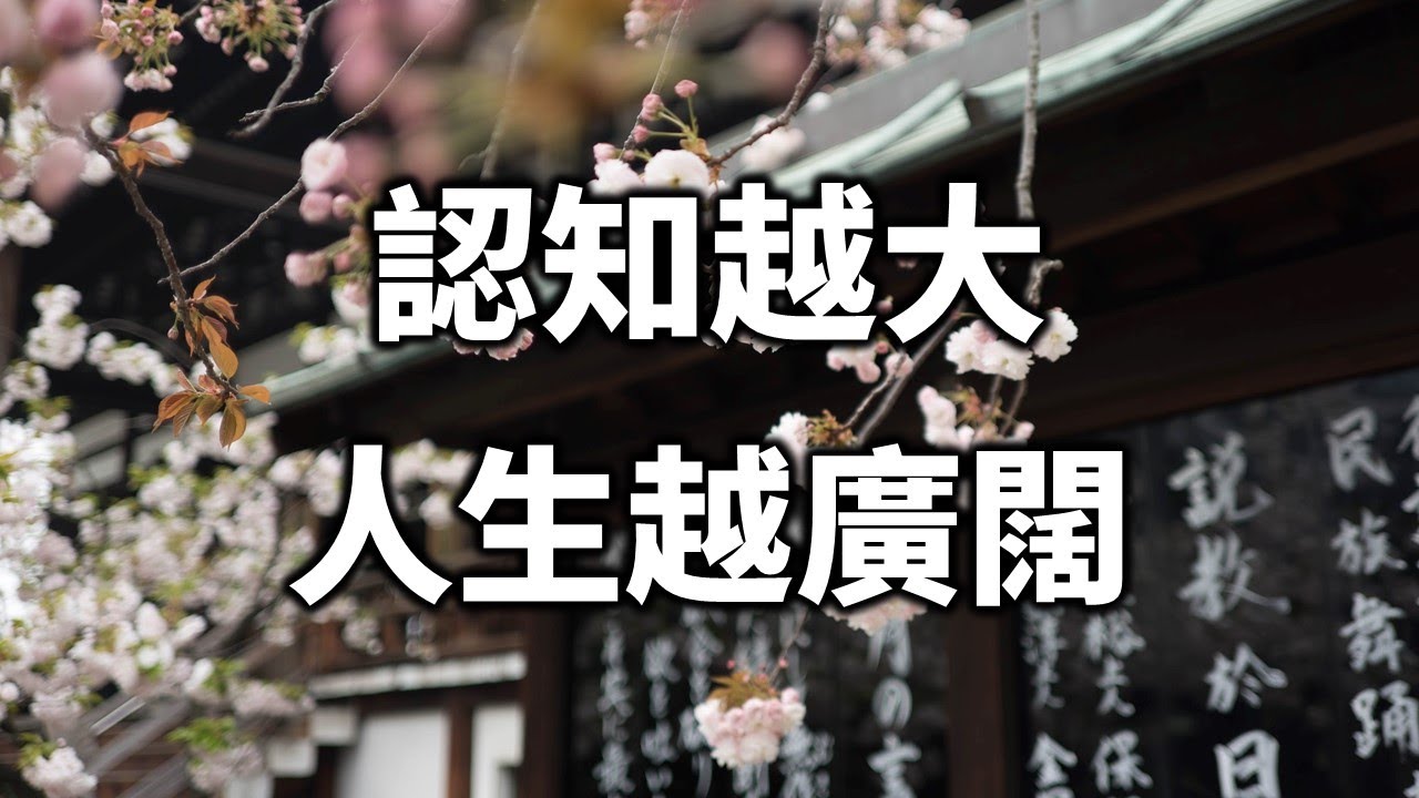 站的越高看的越遠，認知越大，人生越廣闊 The higher you stand, the farther you can see, the greater your cognition【愛學習 】