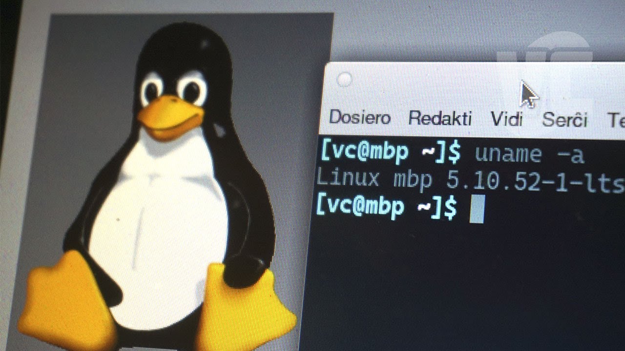 Как Linux завоевал мир?