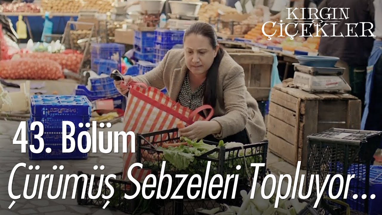 Emine artıkları topluyor - Kırgın Çiçekler 43. Bölüm