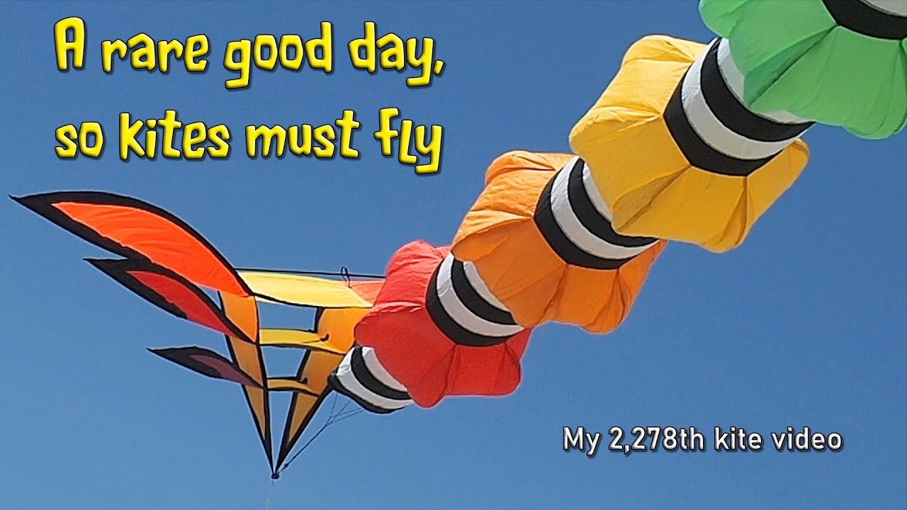 A rare good day, so kites must fly