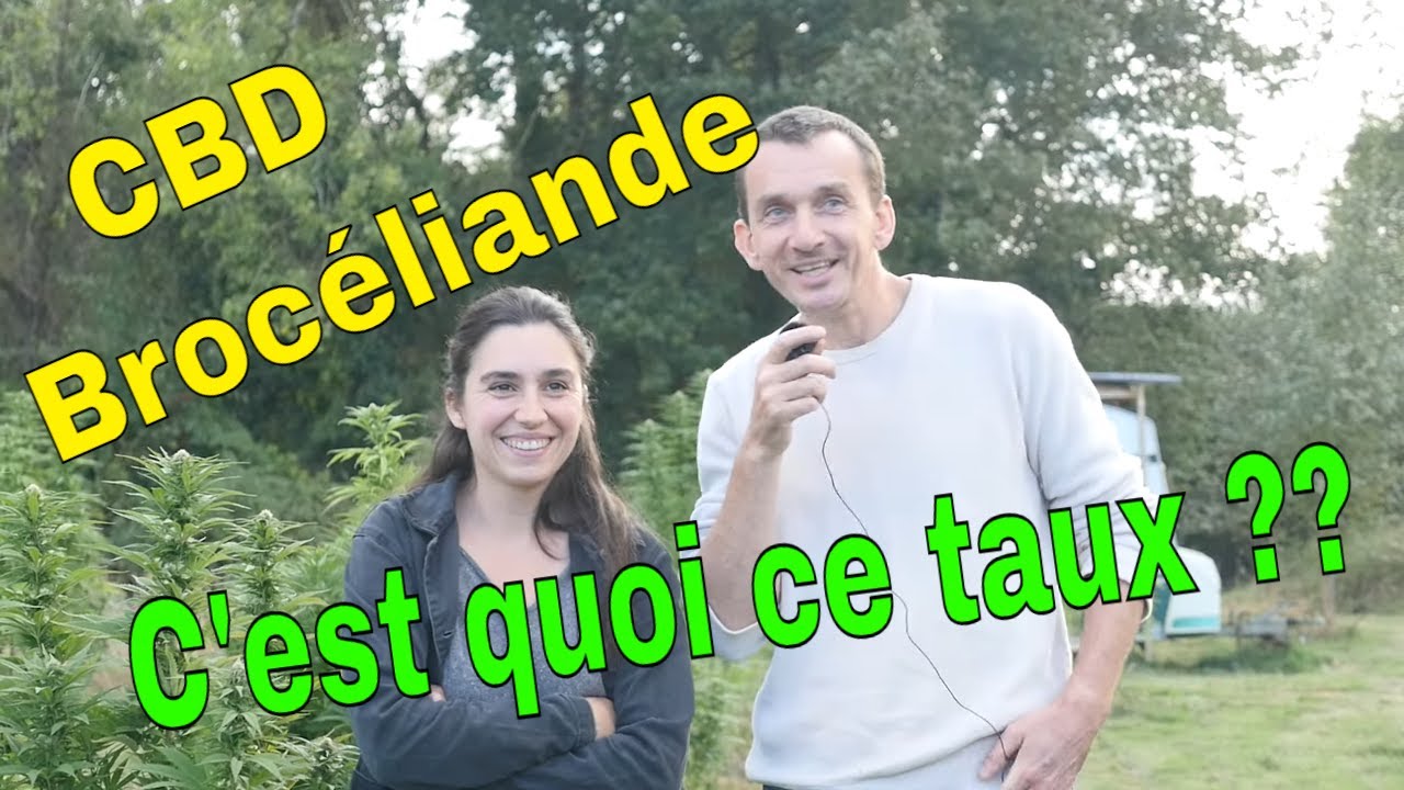 CBD Broc&eacute;liande, nouveau PRODUCTEUR de chanvre : CONTESTE le % de CBD et lance ses TOP COSMETIQUES