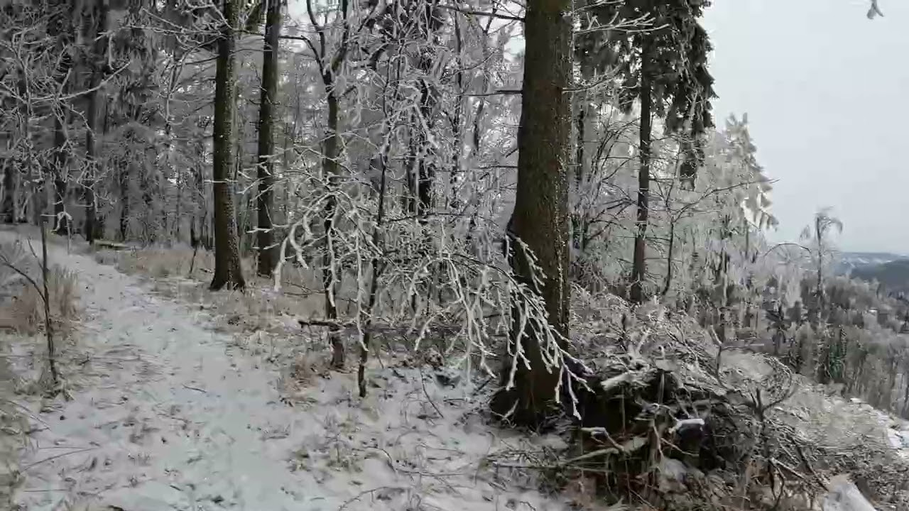 Podróże małe i duże - Zimowa Borowa. Zaćmienie słońca i nowy rok w chińskim kalendarzu.
