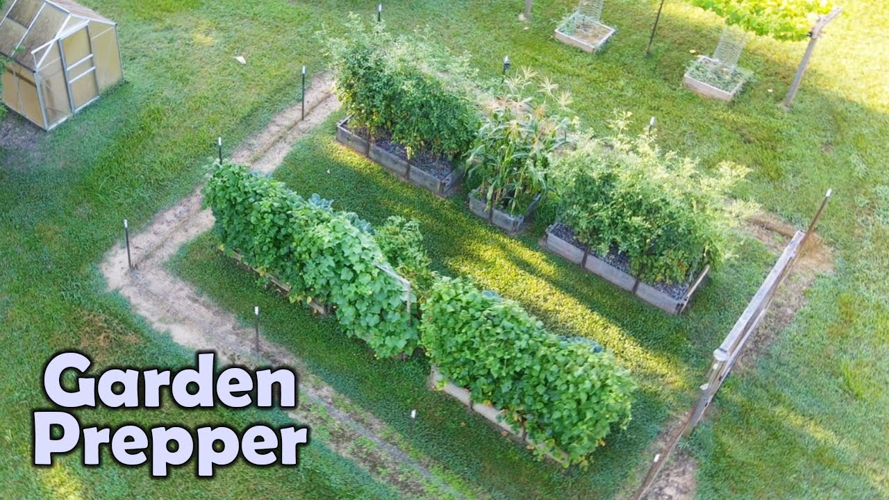 Garden in the HOT Weather, grow food at home Prepper Class ASMR