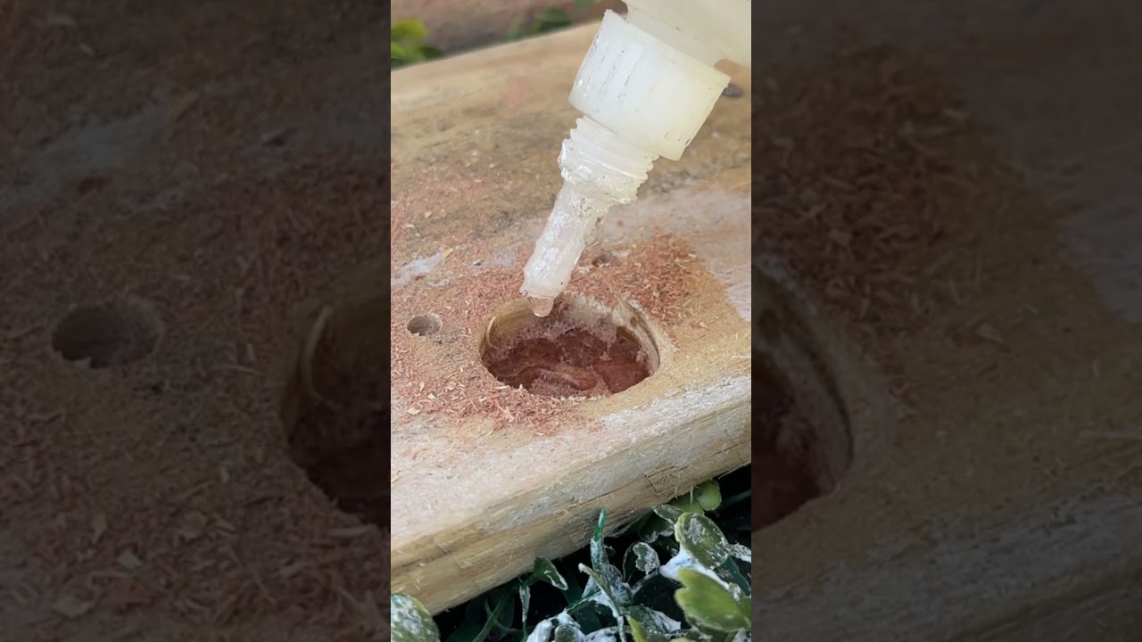 T&eacute;cnica para tapar furo em madeira eficaz e duradouro  #tips #t&eacute;cnico #solu&ccedil;&atilde;o #ideias #diy