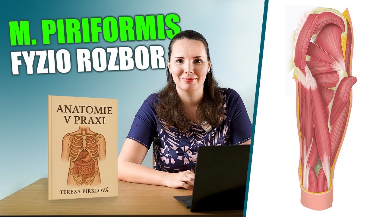 📖 HRUŠKOVITÝ SVAL (m. piriformis) | Bolesti zad, kyčlí a pánevního dna | ANATOMIE V PRAXI