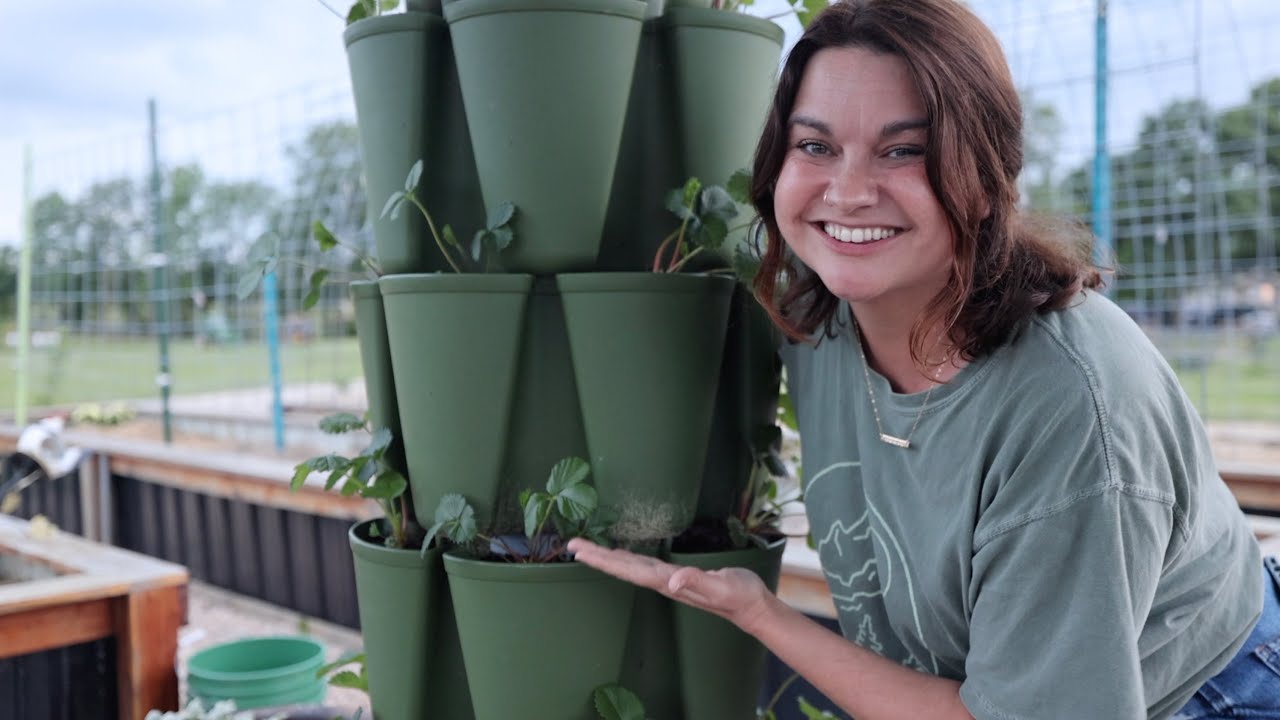 Всё о Greenstalk Gardens (мой честный отзыв после ШЕСТИ лет использования)