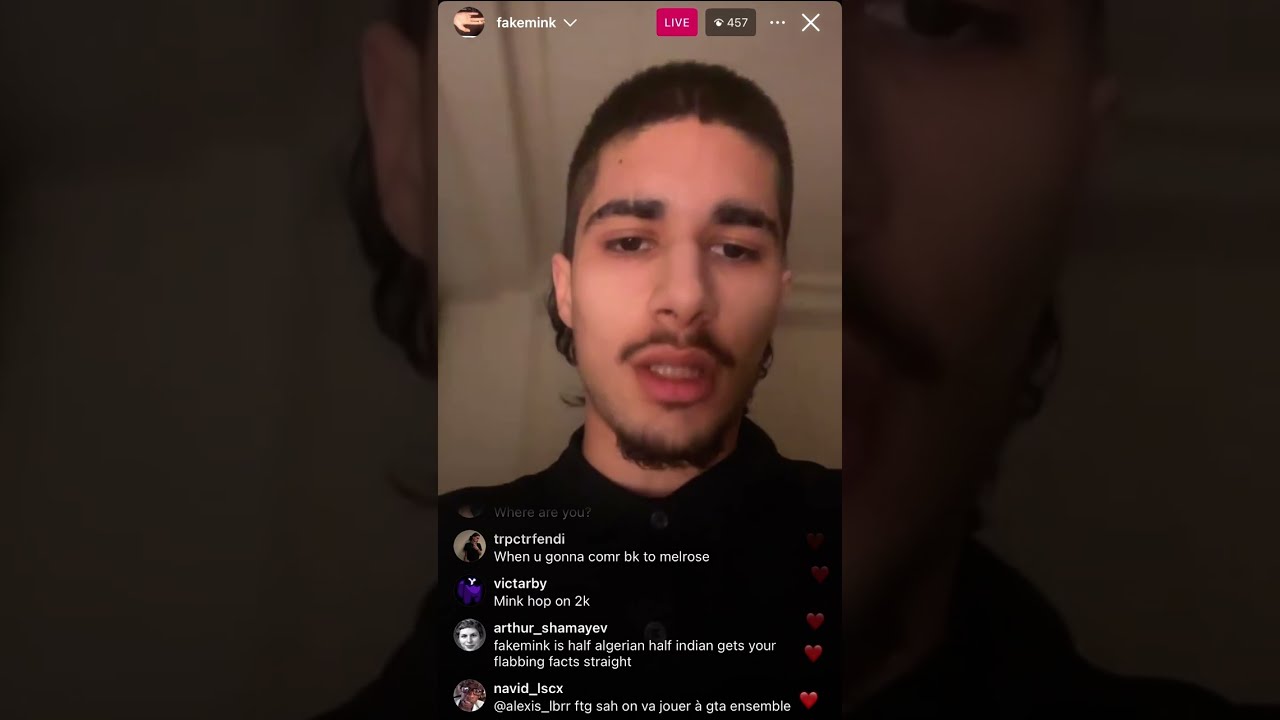 fakemink house tour on ig live (hosted by greg)