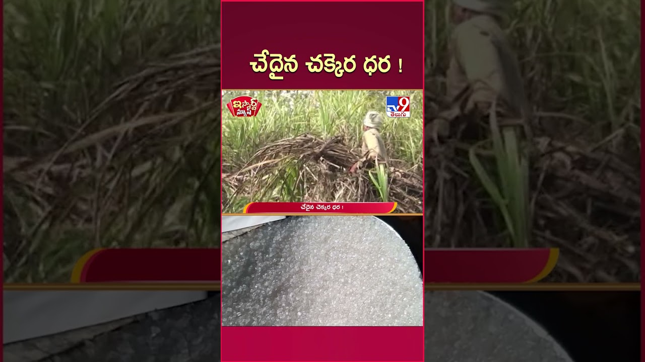 iSmart News : చేదైన చక్కెర ధర ! | Sugar Price Hike - TV9