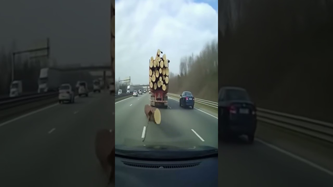 Critical Chain Failure on Highway Sparks Near Disaster