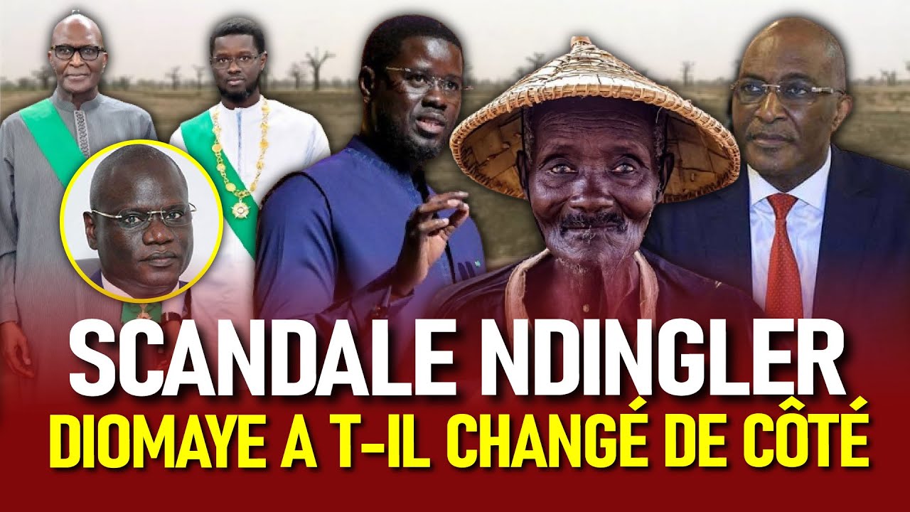 Ndingler : Film d'un Scandale A &agrave; Z : 