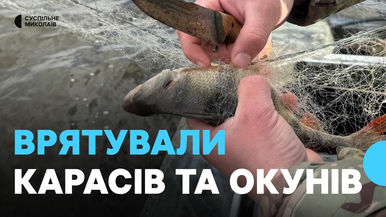 Браконьєри перегородили річку Інгул сітками
