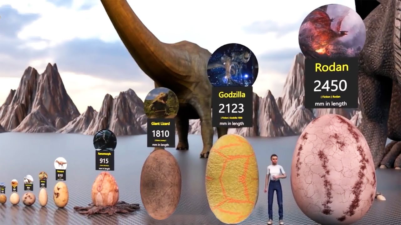 The World&rsquo;s Largest Egg &ndash; Unbelievable World Record!