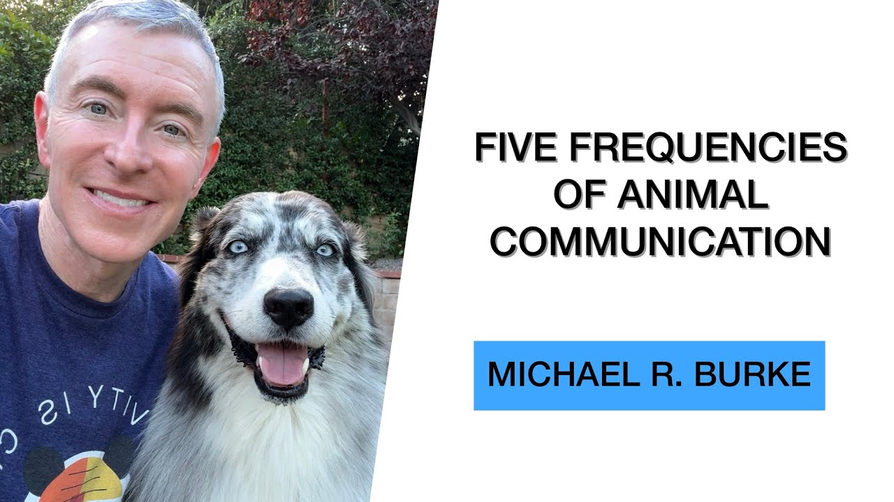 The Five Frequencies of Animal Communication