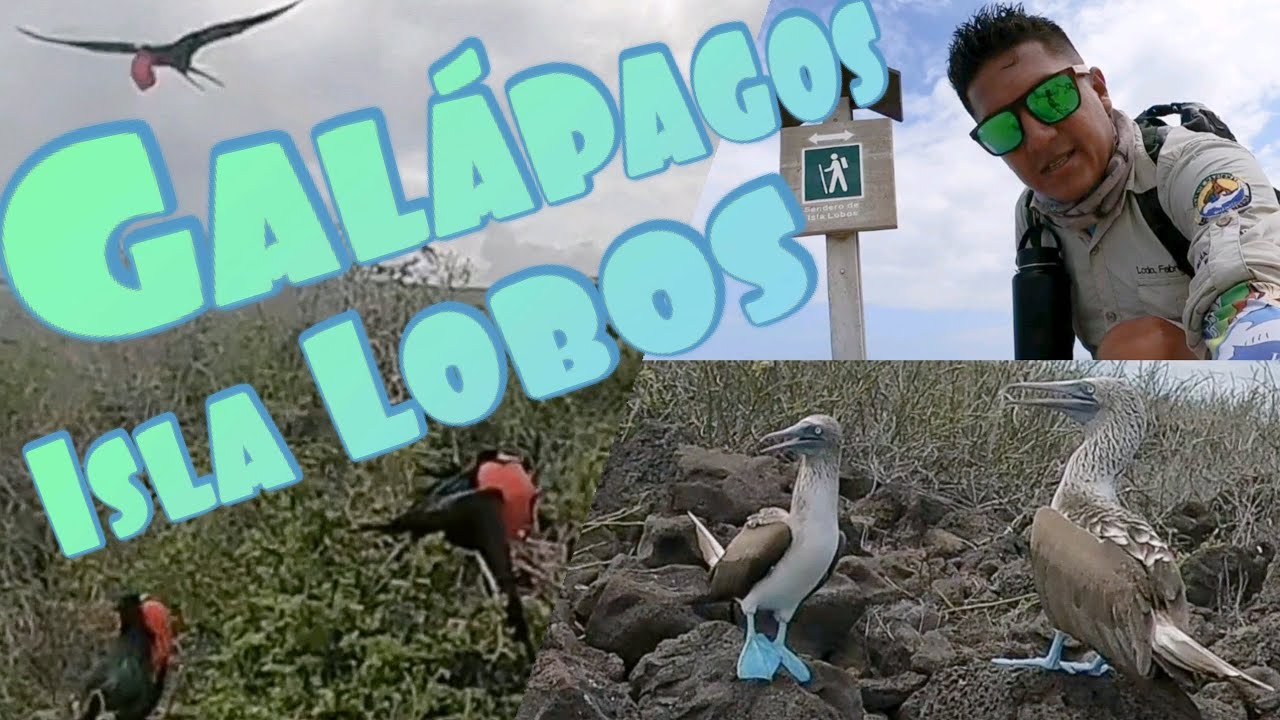 Increíble día en Isla Lobos, Tour San Cristóbal Galápagos..!! HD
