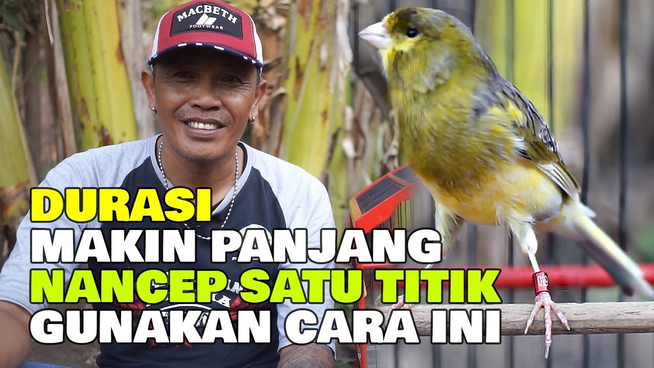 DURASI MAKIN PANJANG NANCEP SATU TITIK GUNAKAN CARA INI
