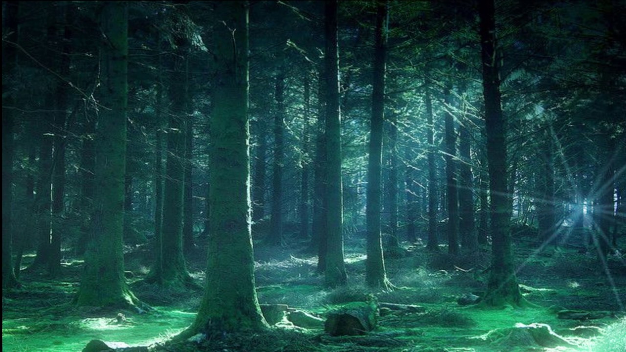 TWILIGHT SAGA INSPIRED SOUNDSCAPE - Getting lost in the forest
