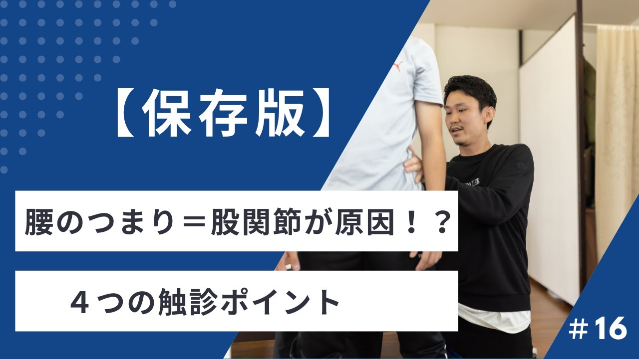 【保存版】腰椎後屈痛の触診｜腰のつまりは股関節とのコンビネーション不良が原因？４つのチェックポイント