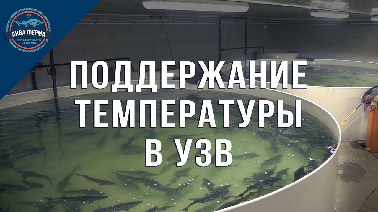 Поддержание температуры в УЗВ