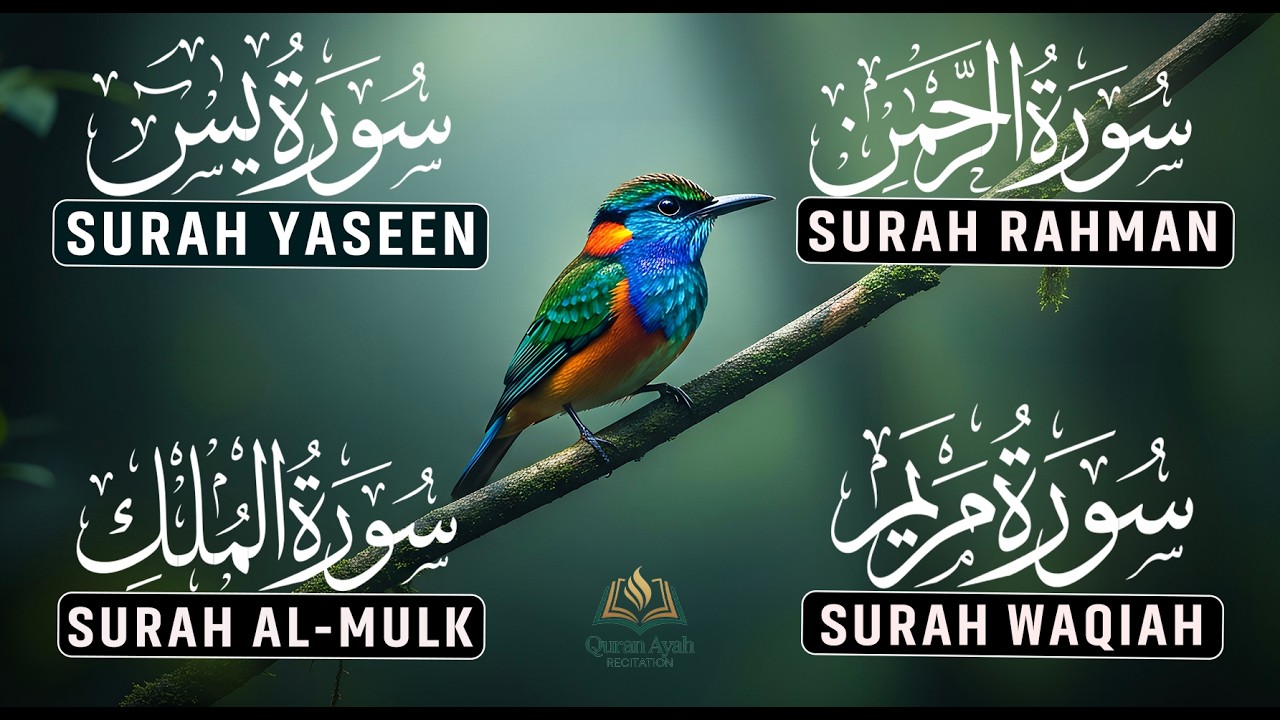 Calm Your Heart with Quran | Surah Yaseen | Rahman | Waqiah | Mulk | Reciter Ashraf Hussain Ep-32