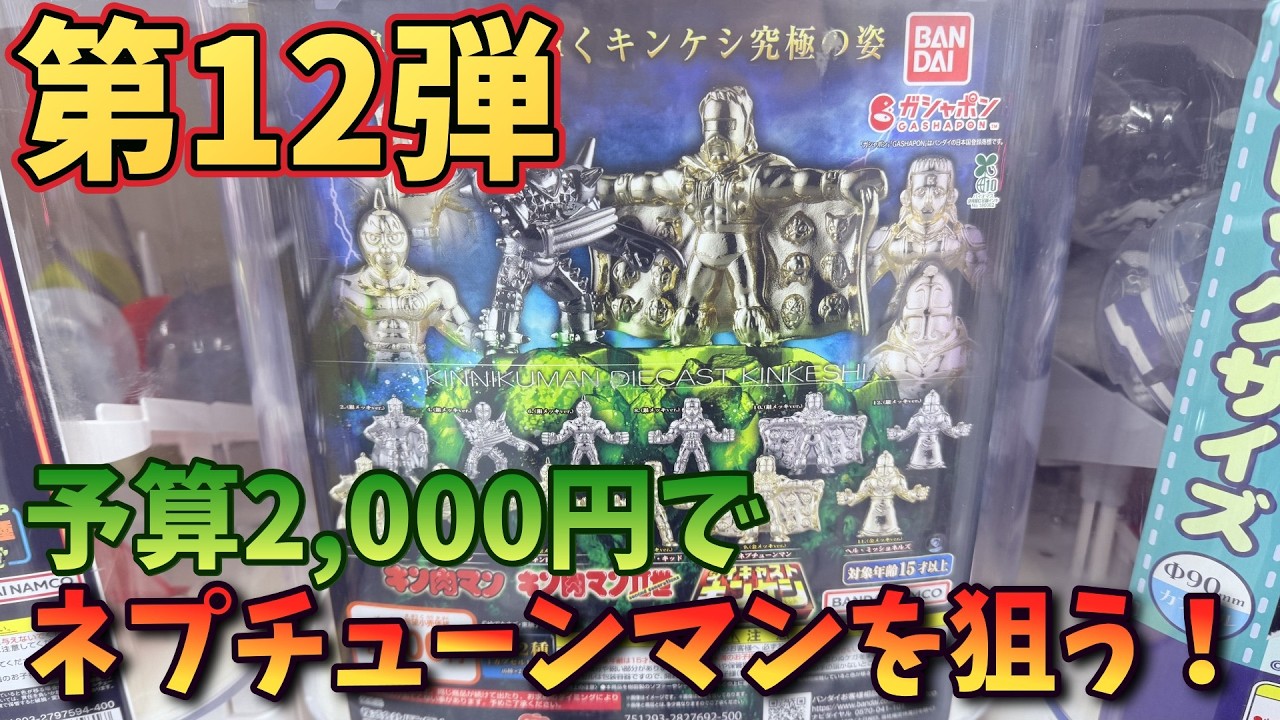【ダイキャストキンケシ12】予算2,000円でネプチューンマンを狙う！【Vtuber / 猫実況】