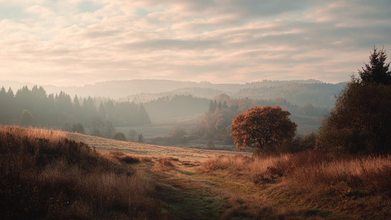 a quiet piano playlist for reading at home