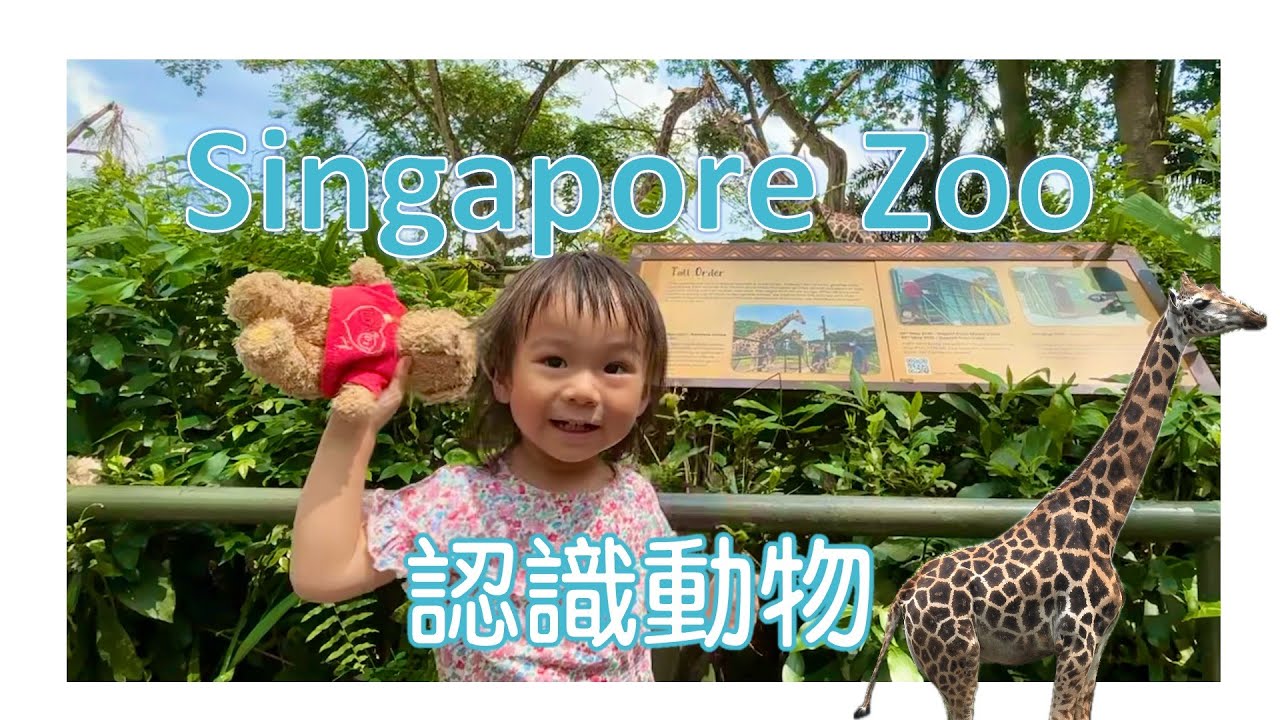 新加坡 Part 2/3  Singapore Zoo 看圖書中的動物真身