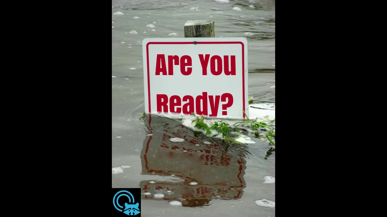 My Wildlife Style Radio Episode 06: Disaster Preparedness for Wildlife Rehabilitators