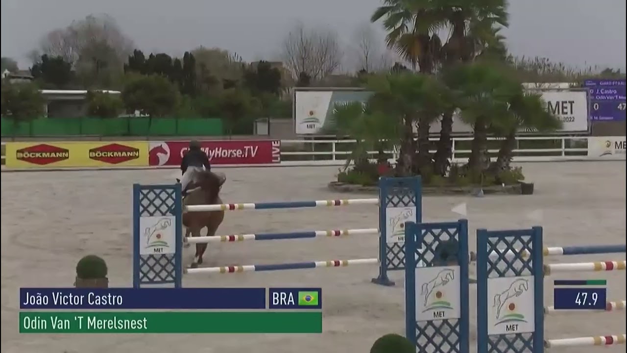 Jo&atilde;o Victor Castro - Odin Van&rsquo;T Merelsnest (11/12/2022) - Oliva (Gold 2 - 1.45m - LR)