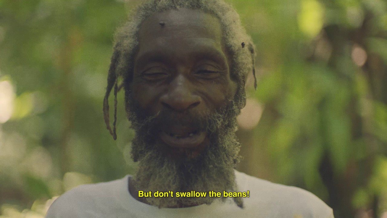 Hitimpulse - I'm in Love with the Coco (Official Video)