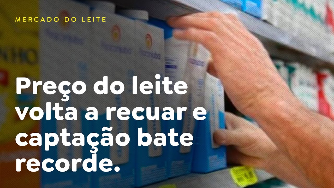 Pre&ccedil;o do leite volta a recuar e capta&ccedil;&atilde;o bate recorde