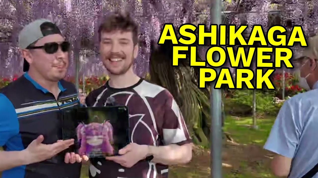 We Took IronMouse To See The Most Beautiful Flower Park