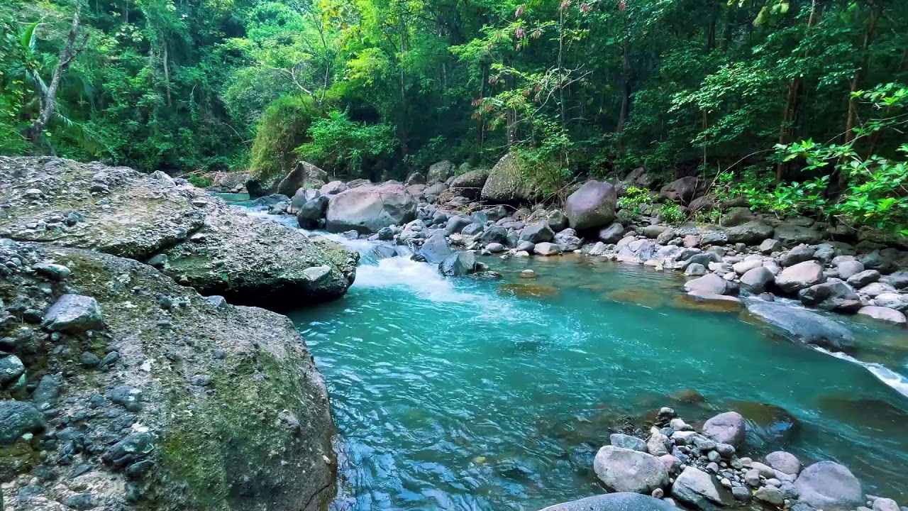 Sleep Better with Peaceful River Sounds | Relaxing Water White Noise for Insomnia & Anxiety