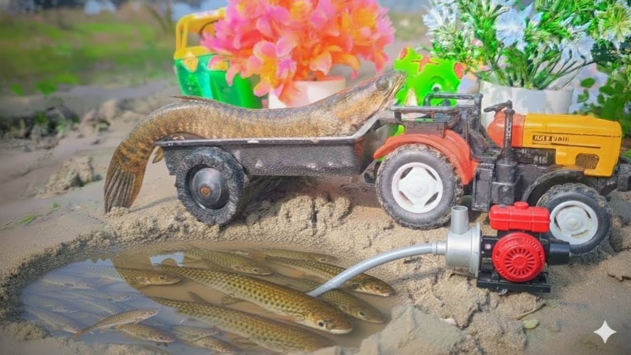 🚜💧 Fish Farming + Tractor Pump Magic! | Amazing Fish Farming & Water Pump Setup 🐟🔥 #Fishing 