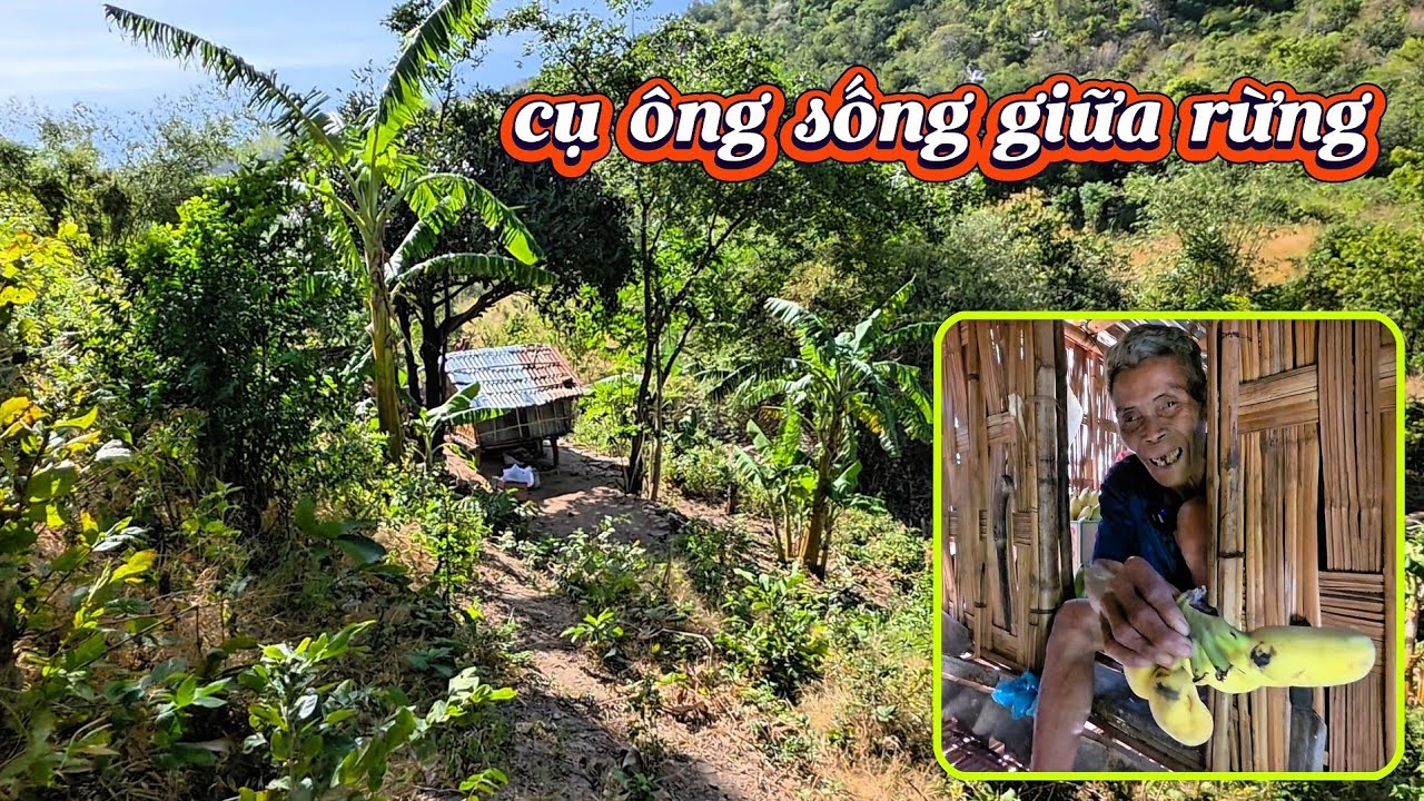 Cụ ông SỐNG LỦI THỦI giữa rừng KHÔNG một người thân || 516