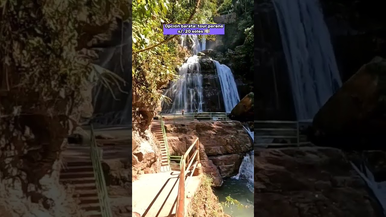 c&oacute;mo llegar a la #catarata #bayoz en #chanchamayo 🌟 #shorts #viajes #lamerced