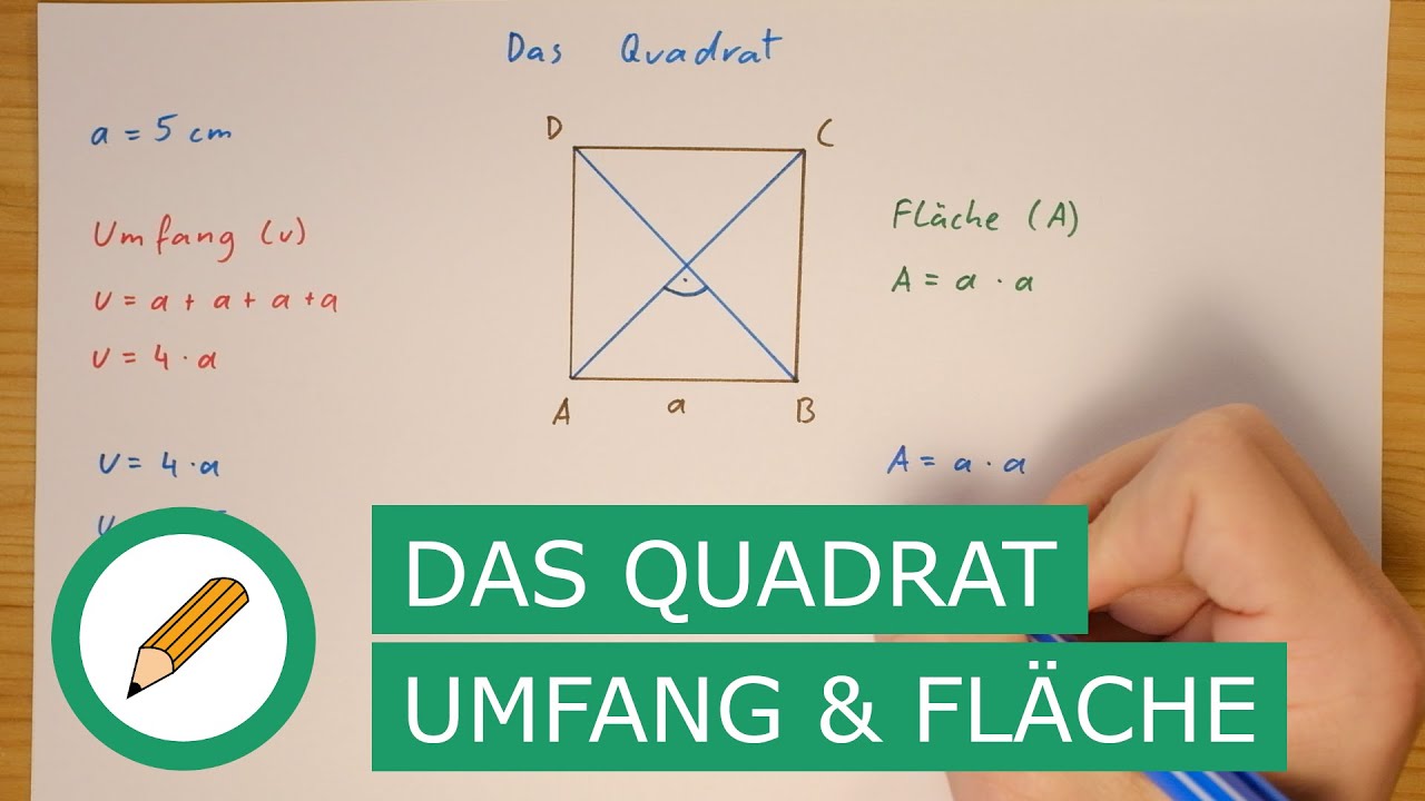 Das Quadrat - Eigenschaften, Umfang und Fläche | Mit Stift und Papier