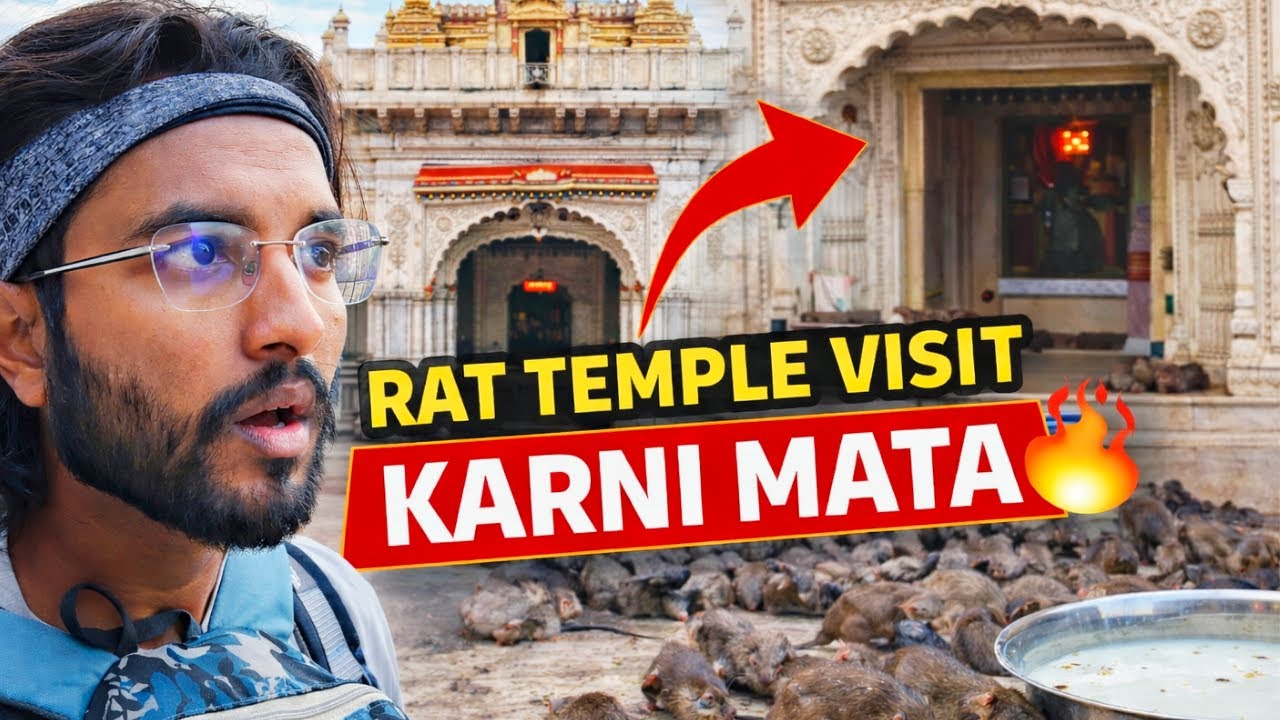 Rat Temple Visit 🐀 | Karni Mata Mandir Deshnoke Bikaner | Chuhon Ka Mandir Rajasthan