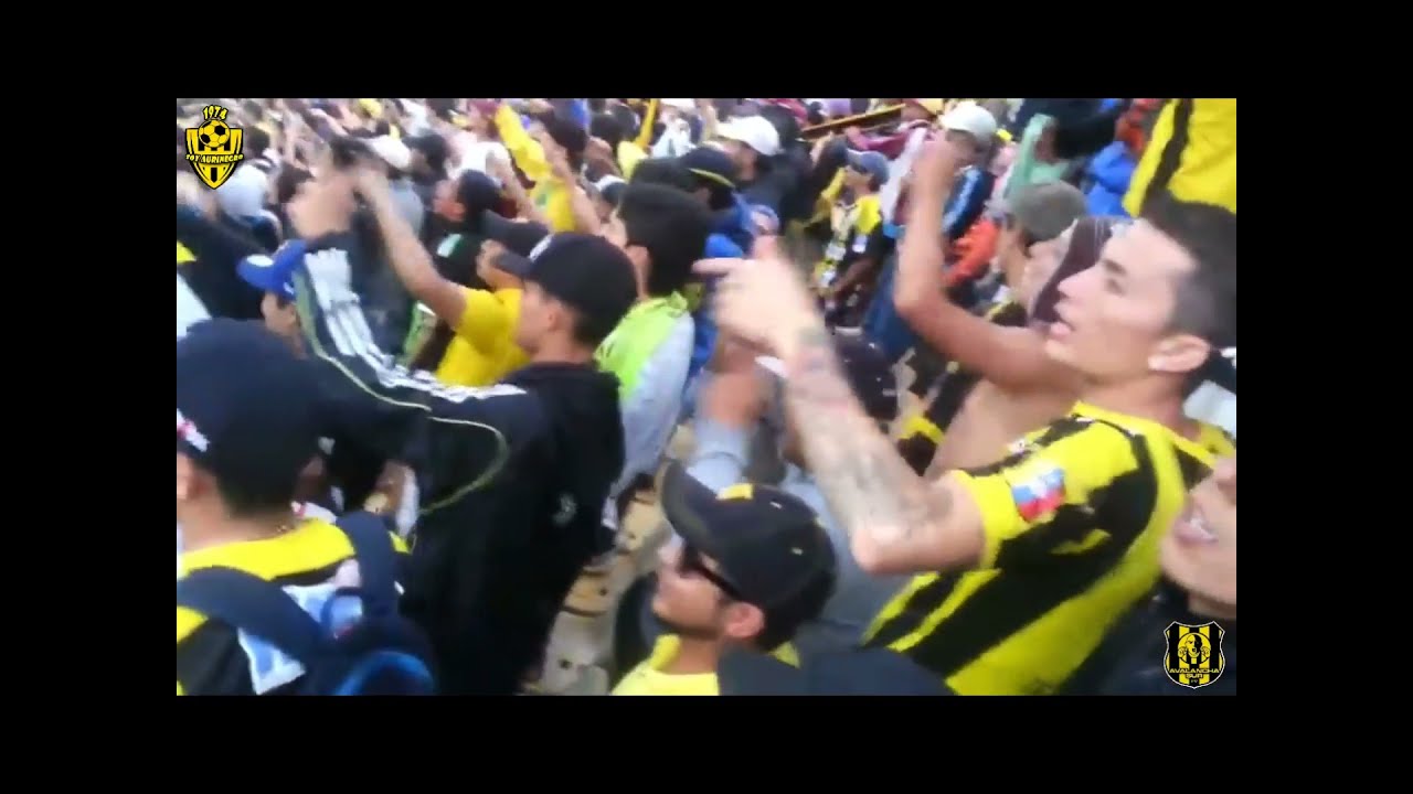 SOY AURINEGRO SOY FELIZ // Canticos Aurinegros - Avalancha Sur - La Banda del Aurinegro