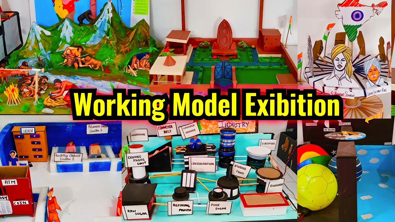 English model exhibition | Working English project model | Social Science model exhibition