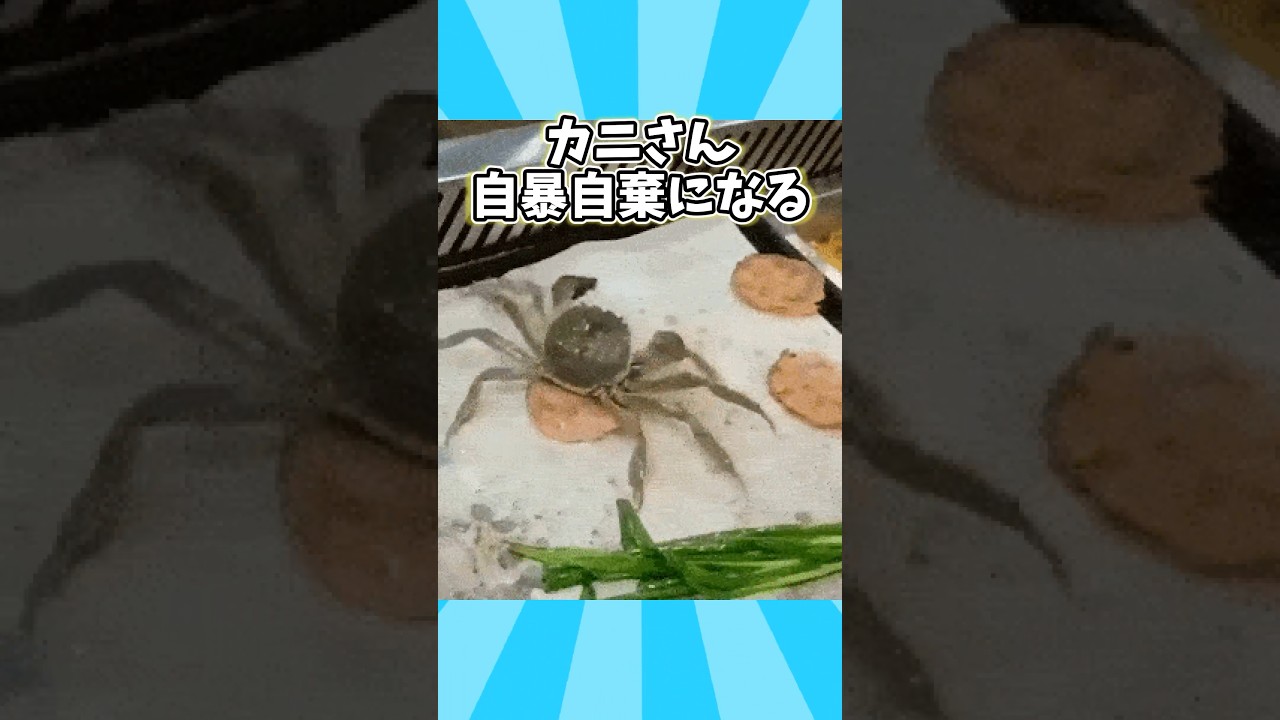 ㊗️400万再生突破！！！カニさんの動画見て笑ったら寝ろwwwww
